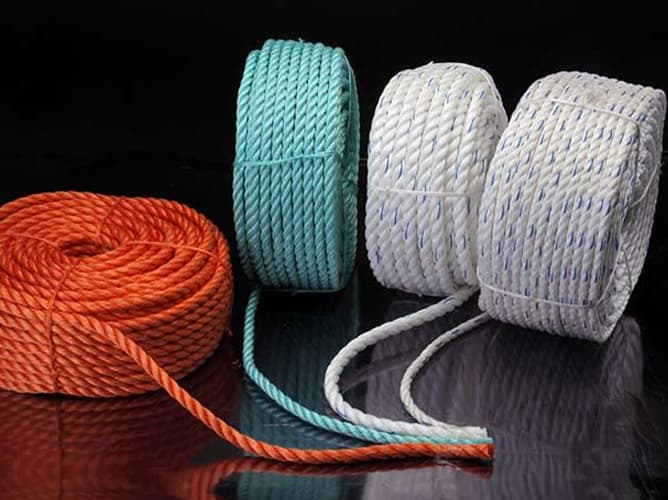 PP Danline Ropes